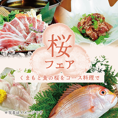 菜なみずきのコース写真