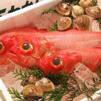 朝採れ鮮魚をご提供