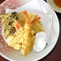 料理メニュー写真 ほっかい天ぷら盛・串盛 各 5種