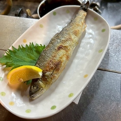 子持ち鮎・稚鮎