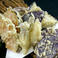 冬の味覚　近江野菜と永源寺キノコの天麩羅５種盛り合わせ