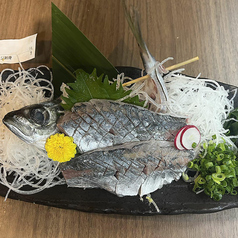 真アジ刺身