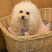 地蔵そば 大橋屋の雰囲気2