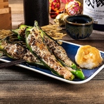 肉厚な万願寺とうがらしに自家製のたねを詰め込んだ万願寺肉詰めなど、京野菜を楽しめる逸品も◎