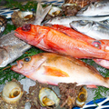 料理メニュー写真&nbsp;季節のお魚　中～大