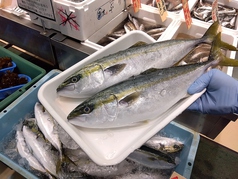 小田原産のおいしい魚