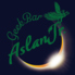GeekBar AslanJr ギークバー アスランジュニア