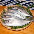 料理メニュー写真&nbsp;季節のお魚　小