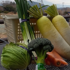 大井町の野菜直売所