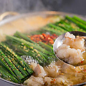 博多もつ鍋おおやま 新潟店の写真