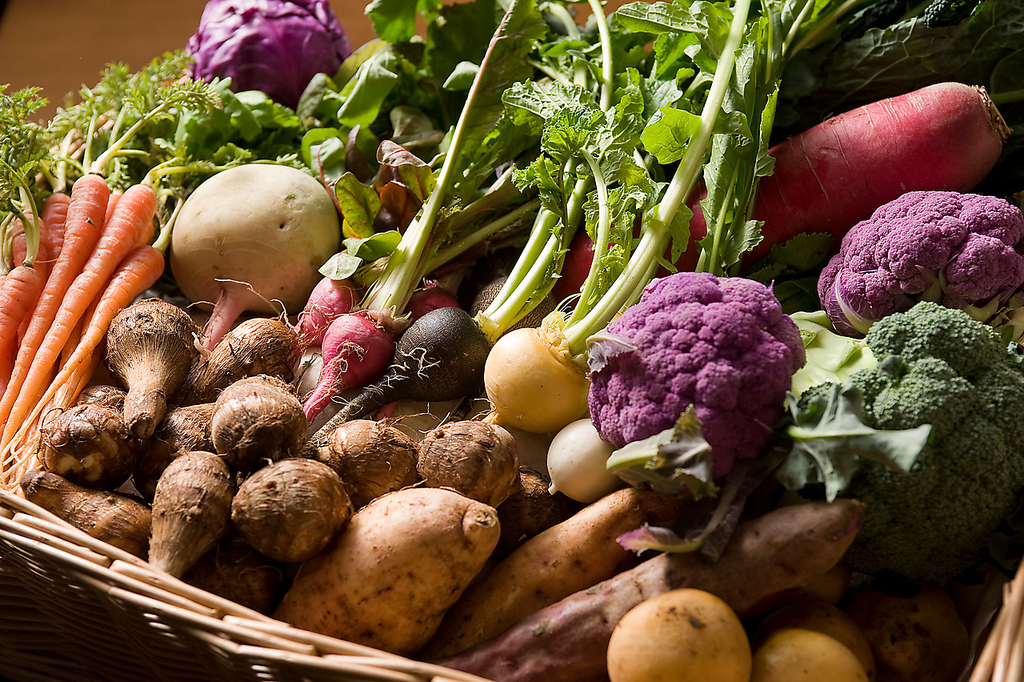 春夏秋冬の京野菜もお楽しみいただけます