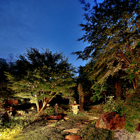 1年を通して美しさを変える日本庭園