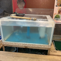 生簀から直行！鮮度抜群の活け造り