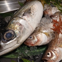 【目利きのこだわり、旬の魚を味わえる】