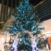 【シーズン限定☆】クリスマスシーズンには季節限定のツリーが出現！ネオンの明かりがロマンチックですよ！