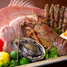 土佐料理 祢保希 銀座店のコース写真