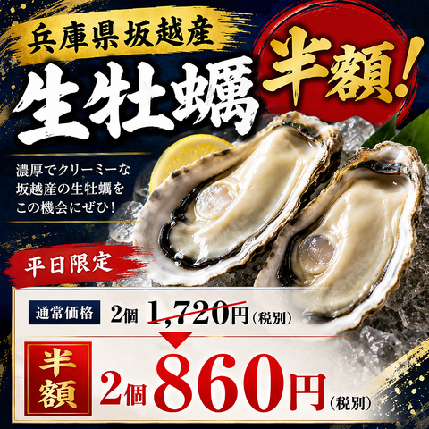 飛騨牛と宮城県産生牡蠣、日本酒30種を楽しむ大人の居酒屋