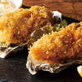料理メニュー写真 大漁カキフライ