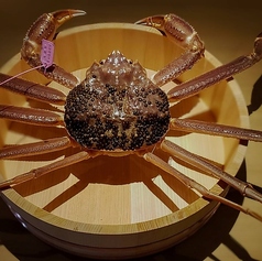 サカナノウタのおすすめポイント1