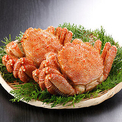 仲卸直営 とろぼっち 西武新宿のコース写真