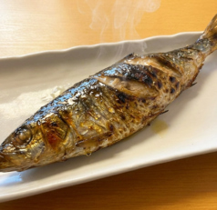 大トロにしん一本焼き