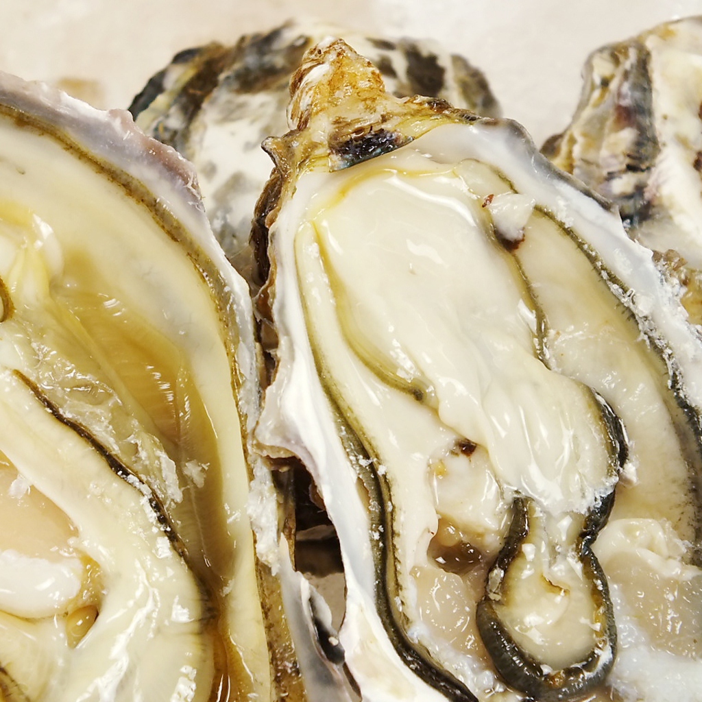 昆布森の牡蠣豪快盛り【一皿680円】！※入荷状況によりご用意できない場合があります