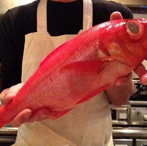 真鯛のだししゃぶ 五徳料理 しんせ 浜松駅 和食 ネット予約可 ホットペッパーグルメ