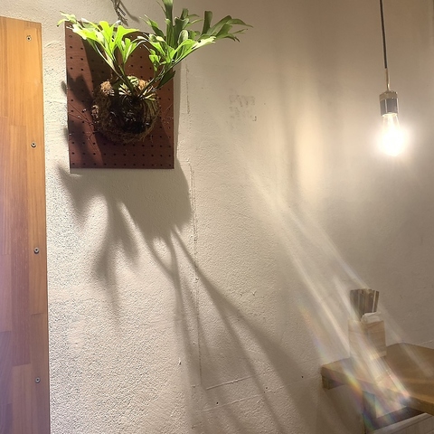 カジュアルなデザインと創作イタリアン