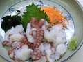 料理メニュー写真&nbsp;活なまこ/ほっけ刺/そい刺/かじか刺/にしん刺/かれい刺/あぶらこ刺/まぐろ刺/ふぐ刺