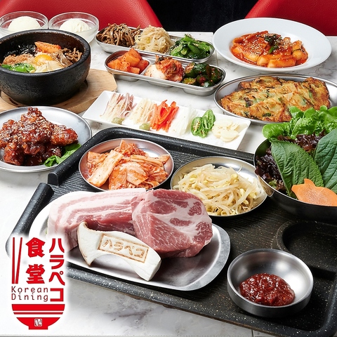 難波・心斎橋で大人気の韓国料理店！国産三元豚使用のサムギョプサルは絶品！