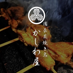 備長炭焼き鳥 かしわ屋のコース写真