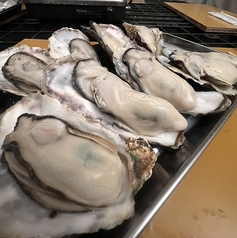 昼・夜【牡蠣食べ放題コース】　12月開幕 予約優先（100分制　LO20分前）