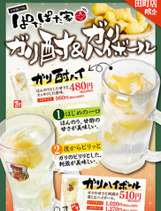 おすすめ!!　ガリ酎ハイ　＆　ガリハイボール