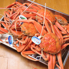 【最強飲み放題999円】居酒屋OHASHI-おはし-　野々市の特集写真