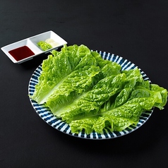 チシャ菜