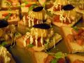 料理メニュー写真 カナッペ[2種類]/季節のサラダ/特製ピッツァ[2種類]/本日のデザート