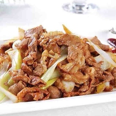 ネギと羊肉の中華炒め/ネギと牛すじの醤油煮込み 各種