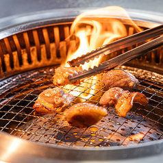 とり禅の特集写真