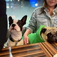 カウンター席では、店内の落ち着いた雰囲気を感じながらゆったりと過ごせます。愛犬と一緒に座れるスペースも確保しており、ちょっとした休憩やおひとりでの利用にもぴったり。スタッフとの距離も近く、心温まる時間をお楽しみいただけます。