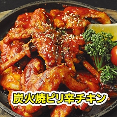 炭火焼ピリ辛チキン(ハーフ) 