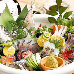 鮮魚と焼とり酒場 花火の特集写真