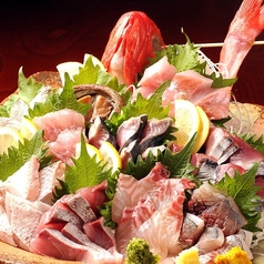 東京イカセンターのコース写真