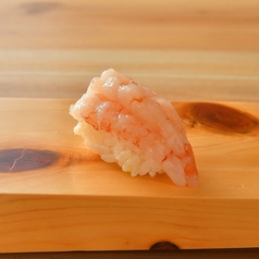 甘海老