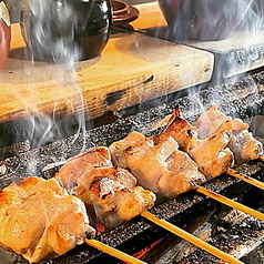備長炭焼き鳥 かしわ屋特集写真1