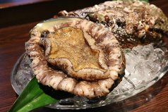 天然活あわびステーキ【Abalone Steak】