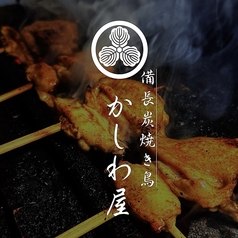 備長炭焼き鳥 かしわ屋のコース写真