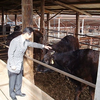 神石高原町の提携牧場