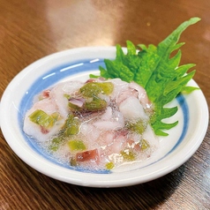 たこわさび