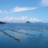 【愛媛の風を感じる落ち着いた空間で、地元ならではの味覚を堪能できるお店】、宇和海で獲れた新鮮な真鯛を使った鯛めしは、素材の旨みを最大限に引き出した贅沢な一品