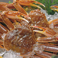 蟹の老舗で味わう絶品かに